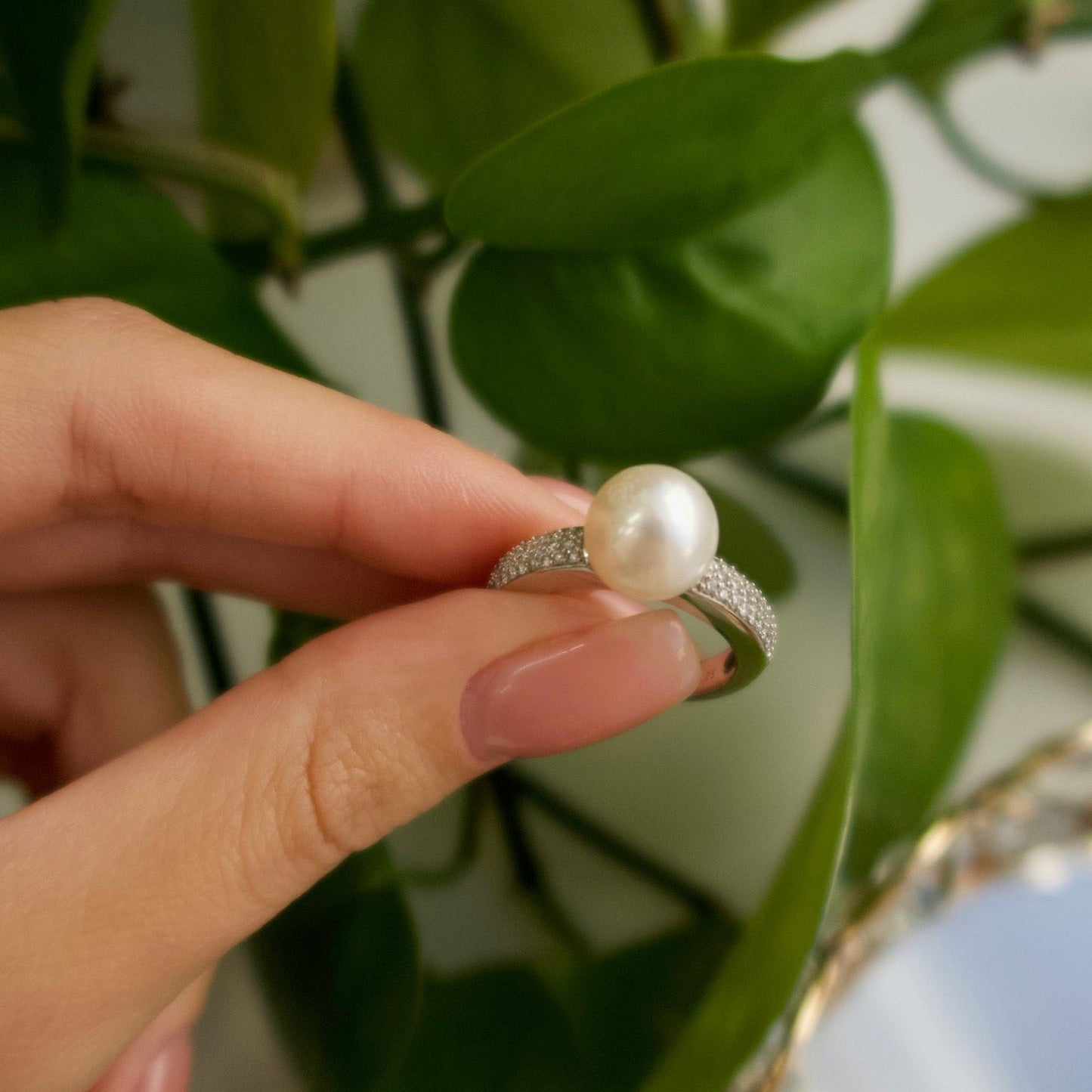 Pearl and Diamond Pave Ring (14k White Gold) - Ryan Diamonds LA